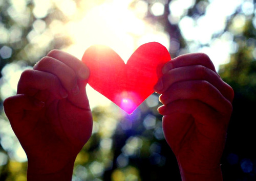 621EFADE-C607-4DFF-813E-365E577CE719